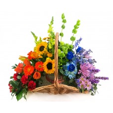 Rainbow Bridge Basket